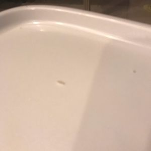 Meet your Posher, Ellesa